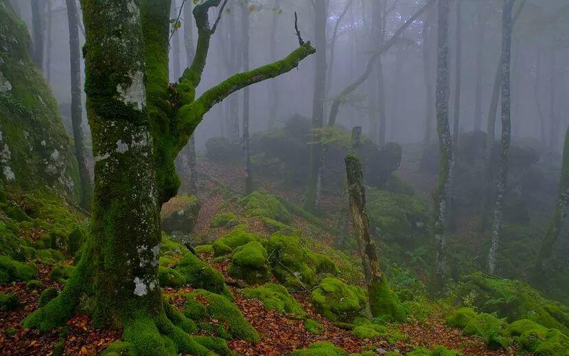 Albergue Armaia Artepea Urzainqui Esterno foto